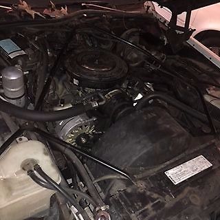 1983 Cadillac DeVille - photo 9