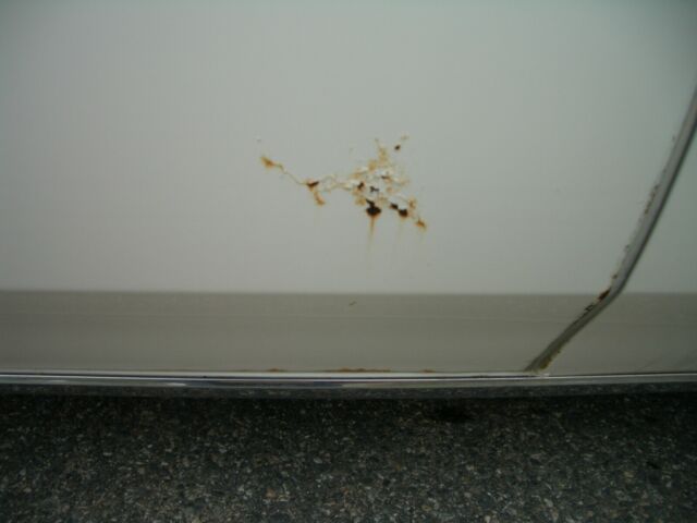 1983 Cadillac DeVille - photo 7