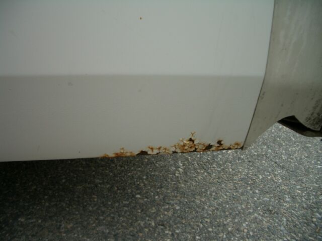 1983 Cadillac DeVille - photo 8