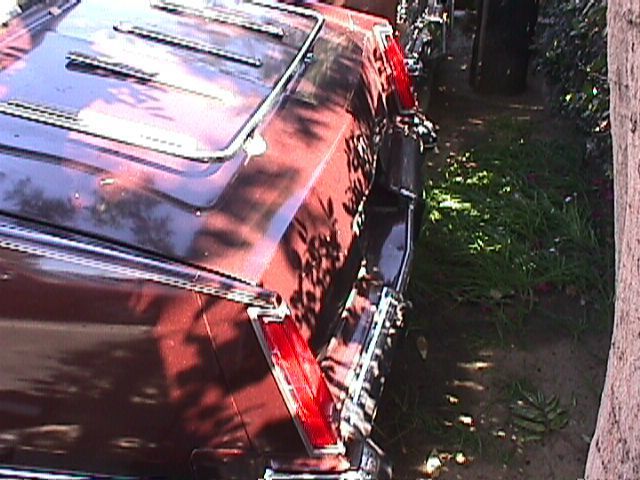 1983 Cadillac Eldorado Eladorado - photo 10