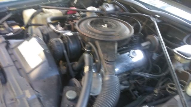 1983 Cadillac Eldorado - photo 12