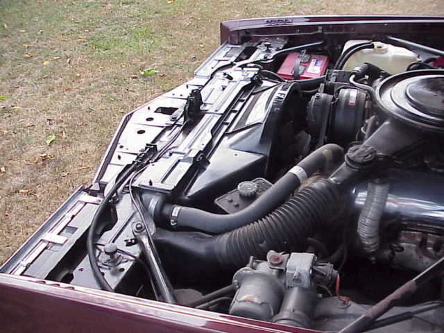 1983 Cadillac Eldorado convertible - photo 12