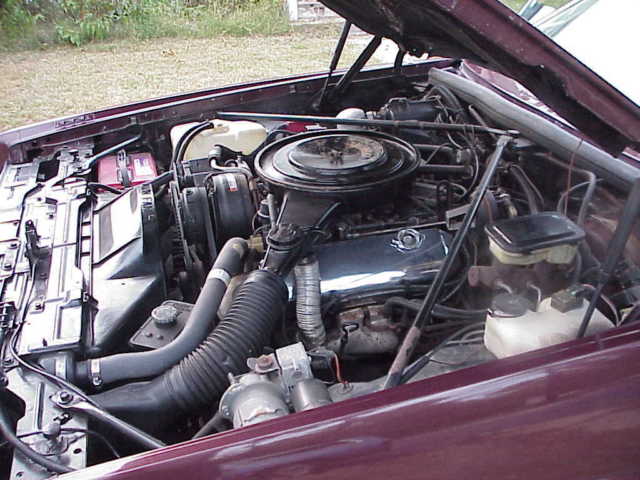 1983 Cadillac Eldorado convertible - photo 13