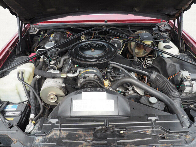 1983 Cadillac Eldorado Premium - photo 11