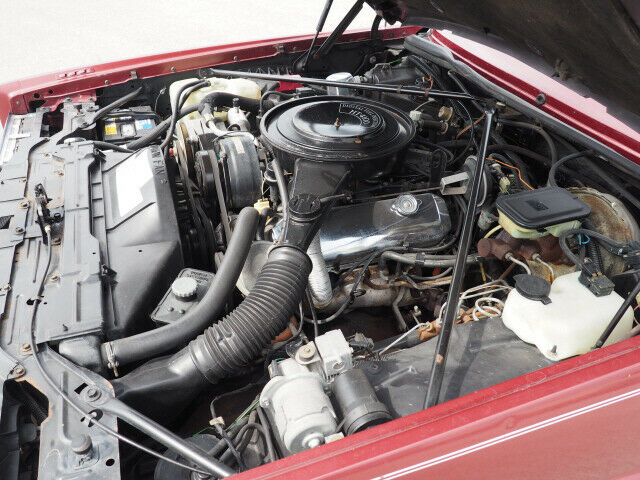 1983 Cadillac Eldorado Premium - photo 12