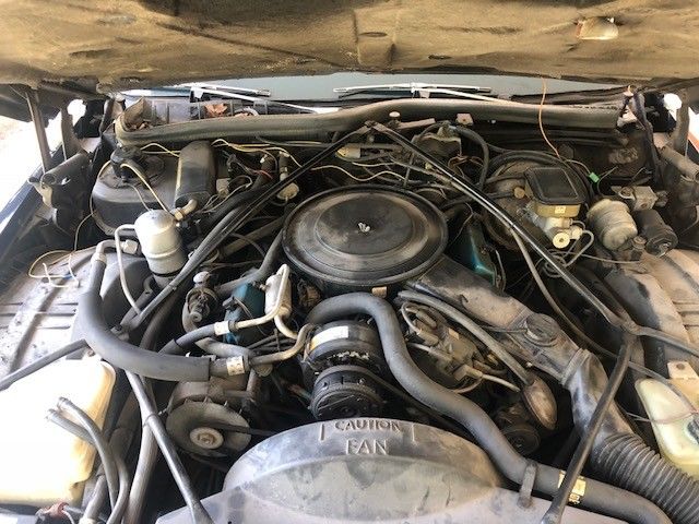 1983 Cadillac Fleetwood Limousine - photo 4