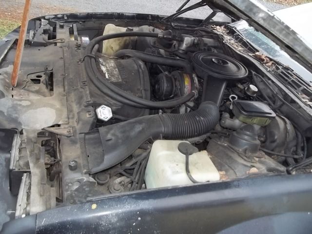 1983 Chevrolet Camaro Berlinetta - photo 7