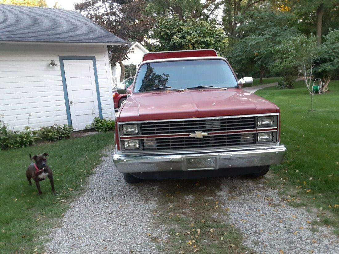 1983 Chevrolet C-10 - photo 6