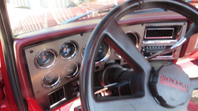 1983 Chevrolet Other Custom Deluxe - photo 11