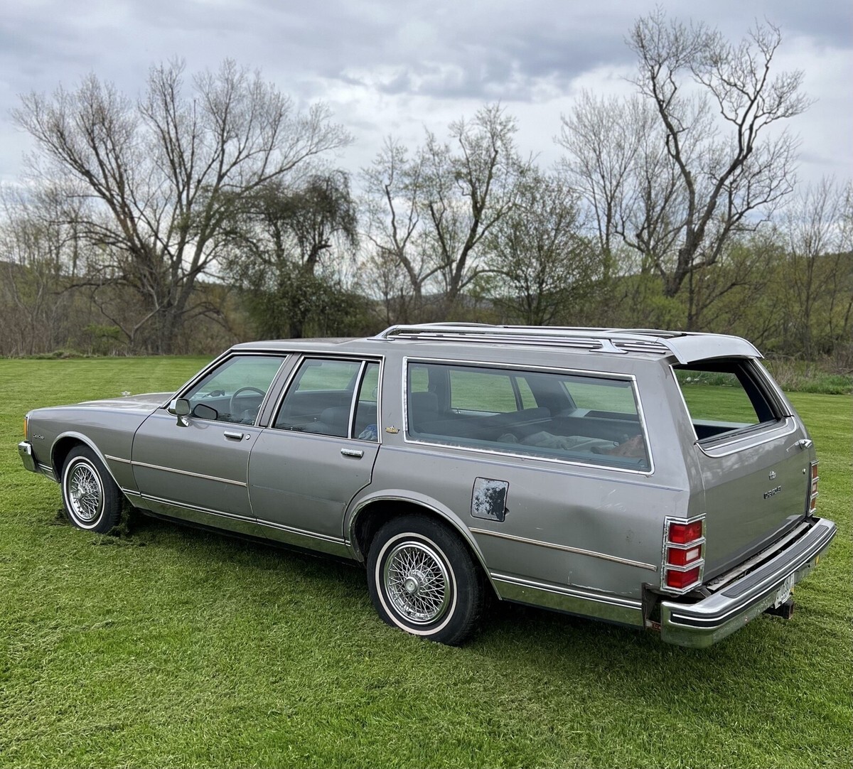 1983 Chevrolet Caprice CLASSIC - photo 10