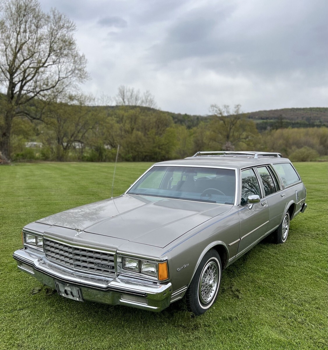 1983 Chevrolet Caprice CLASSIC - photo 9