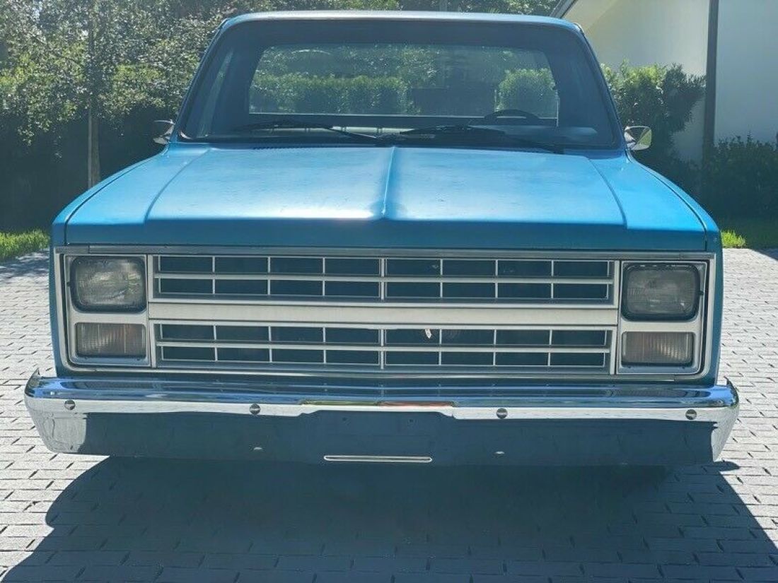 1983 Chevrolet C-10 Regular Cab 2WD - photo 2