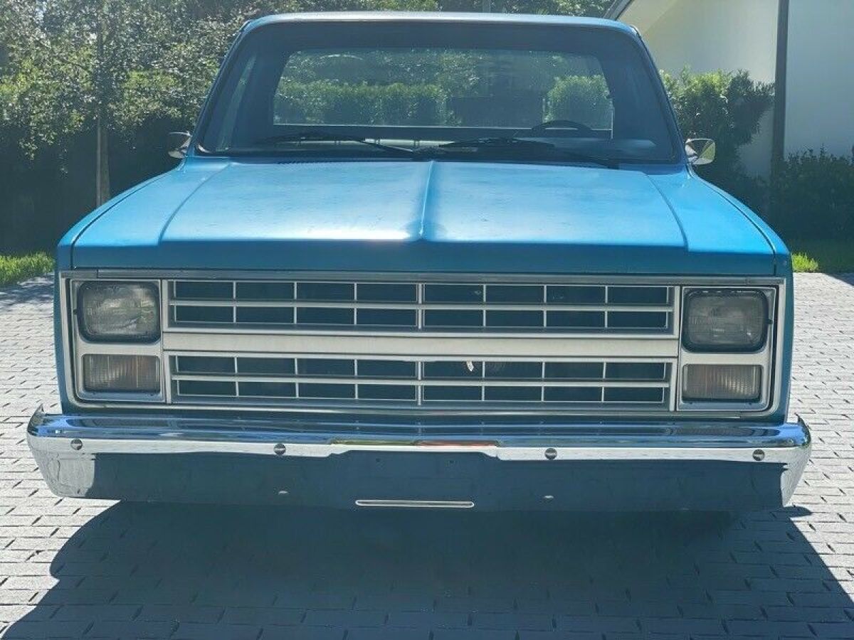 1983 Chevrolet C-10 Regular Cab 2WD - photo 2