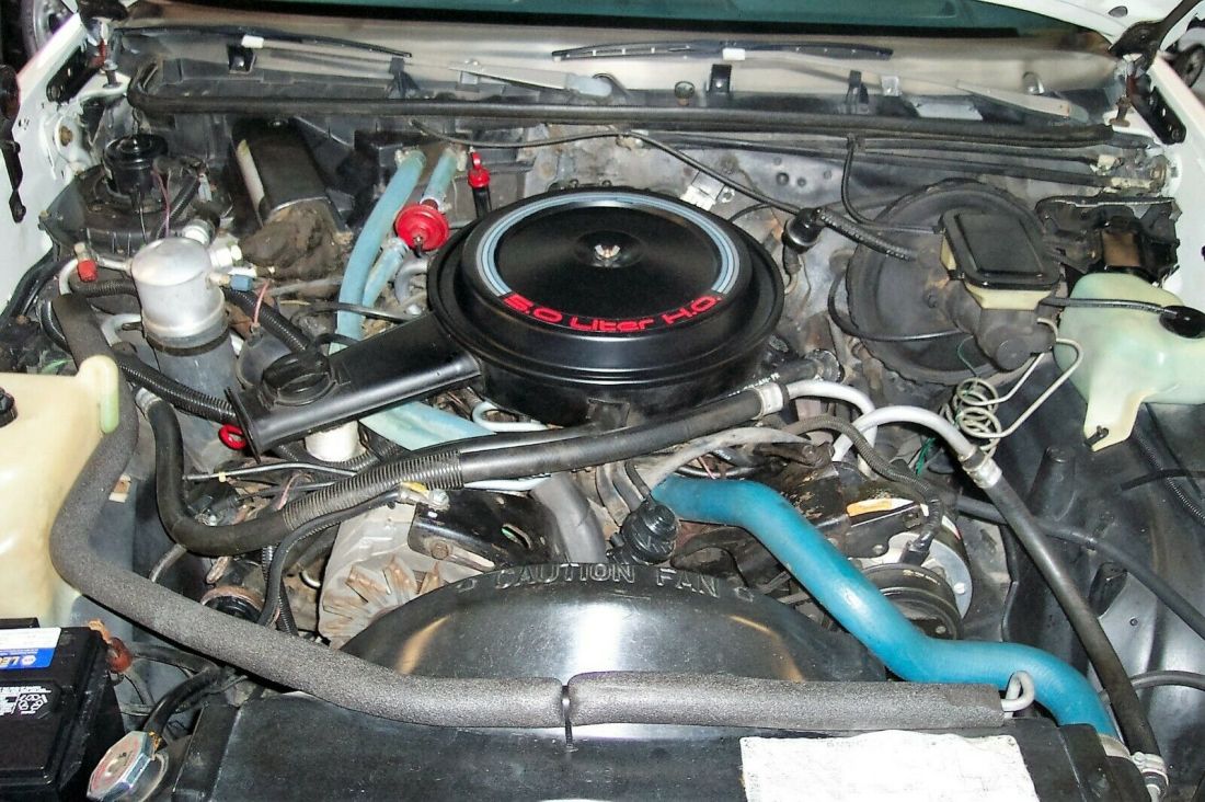 1983 Chevrolet Malibu - photo 5