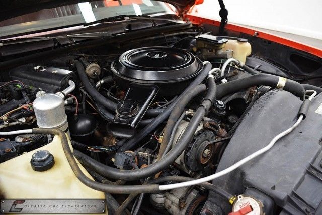 1983 Chevrolet Malibu Classic Wagon 4-Door - photo 2