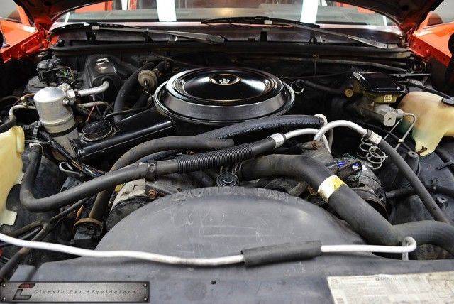 1983 Chevrolet Malibu Classic Wagon 4-Door - photo 6