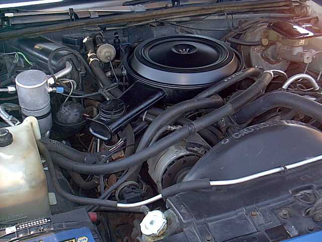 1983 Chevrolet Malibu - photo 8