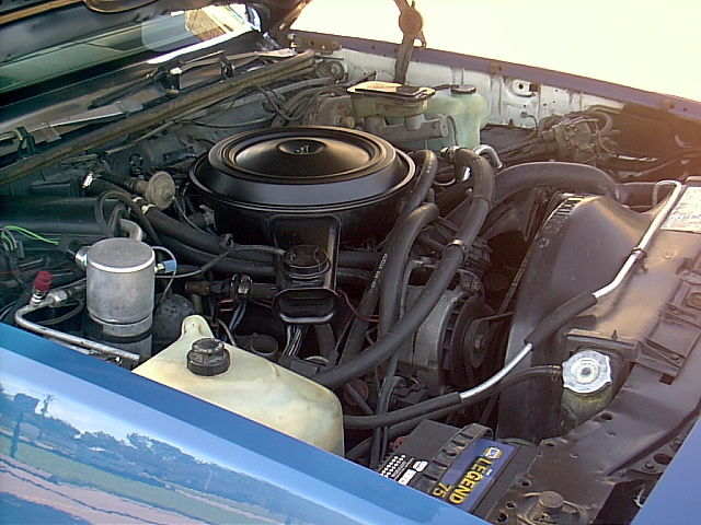 1983 Chevrolet Malibu - photo 9