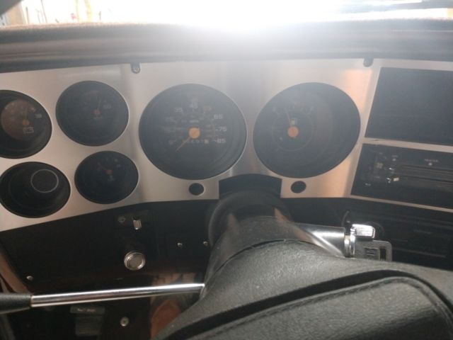 1983 Chevrolet Other Pickups - photo 10