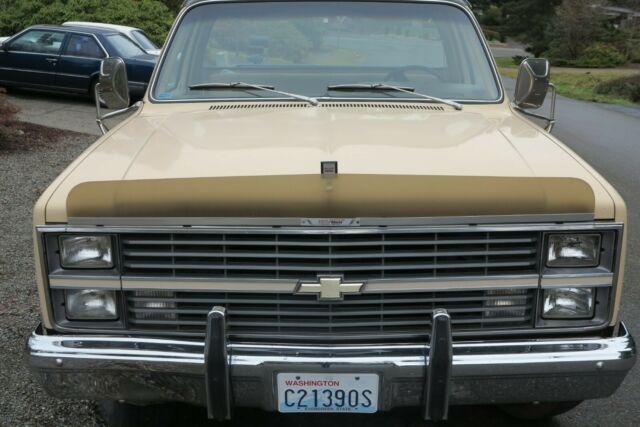 1983 Chevrolet C/K Pickup 2500 Silverado - photo 11