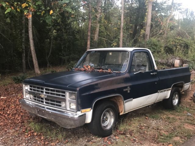 1983 Chevrolet C-10 - photo 2