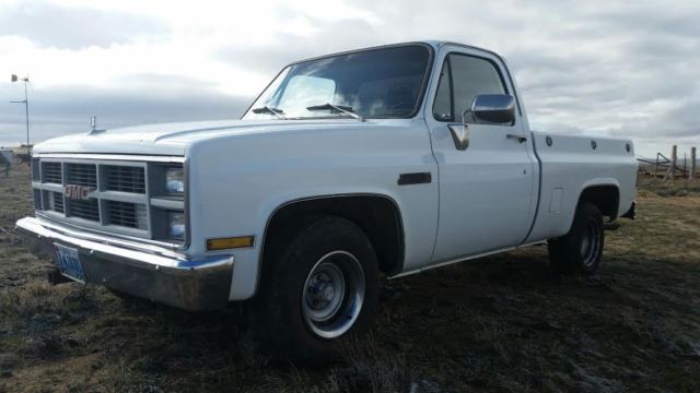 1983 Chevrolet C-10 c10 - photo 2