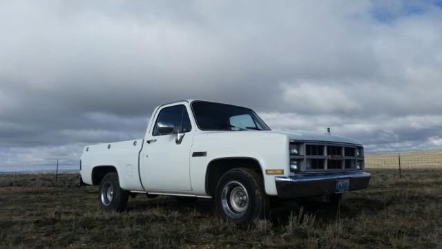 1983 Chevrolet C-10 c10 - photo 6