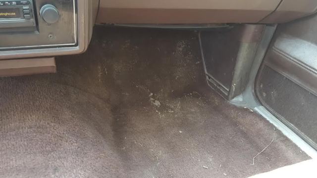 1983 Chevrolet El Camino - photo 8