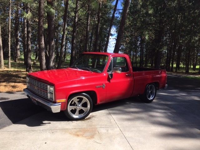 1983 Chevrolet Other Pickups Custom Deluxe - photo 3
