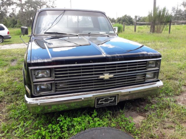 1983 Chevrolet C-10 - photo 4