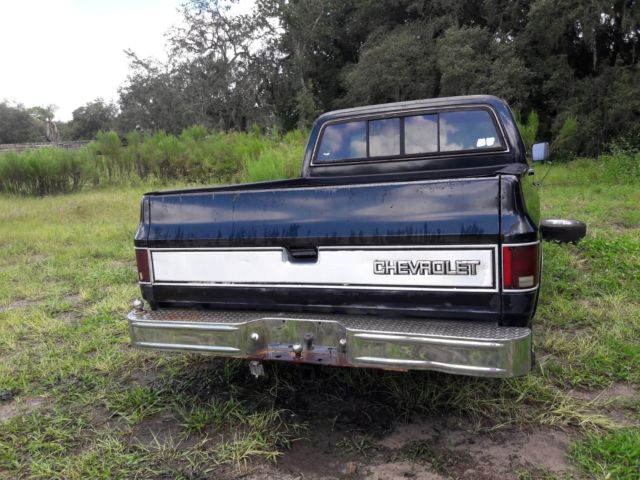 1983 Chevrolet C-10 - photo 5