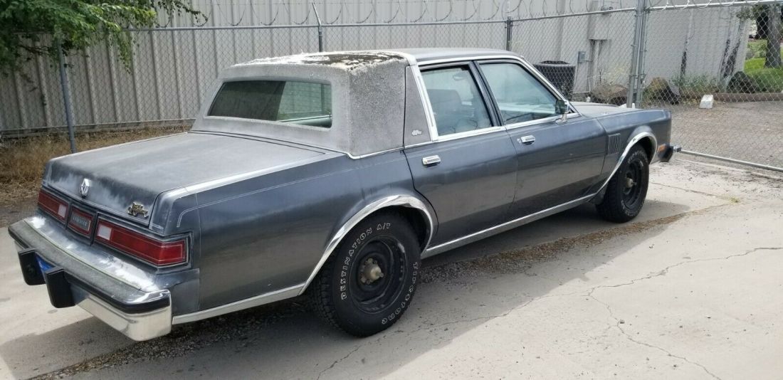 1983 Chrysler New Yorker 5th Ave - photo 4