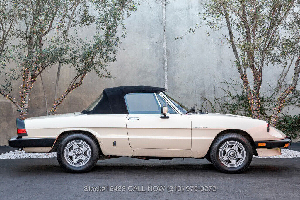 1983 Alfa Romeo Spider Convertible - photo 10