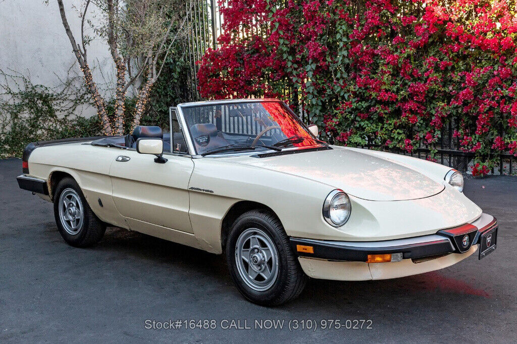 1983 Alfa Romeo Spider Convertible - photo 3