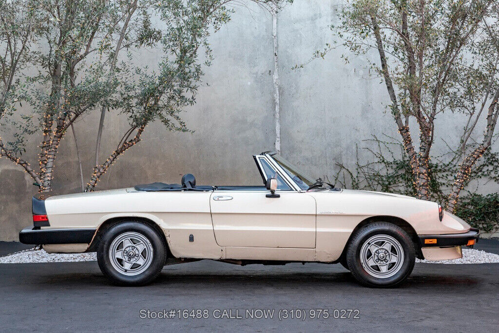 1983 Alfa Romeo Spider Convertible - photo 4