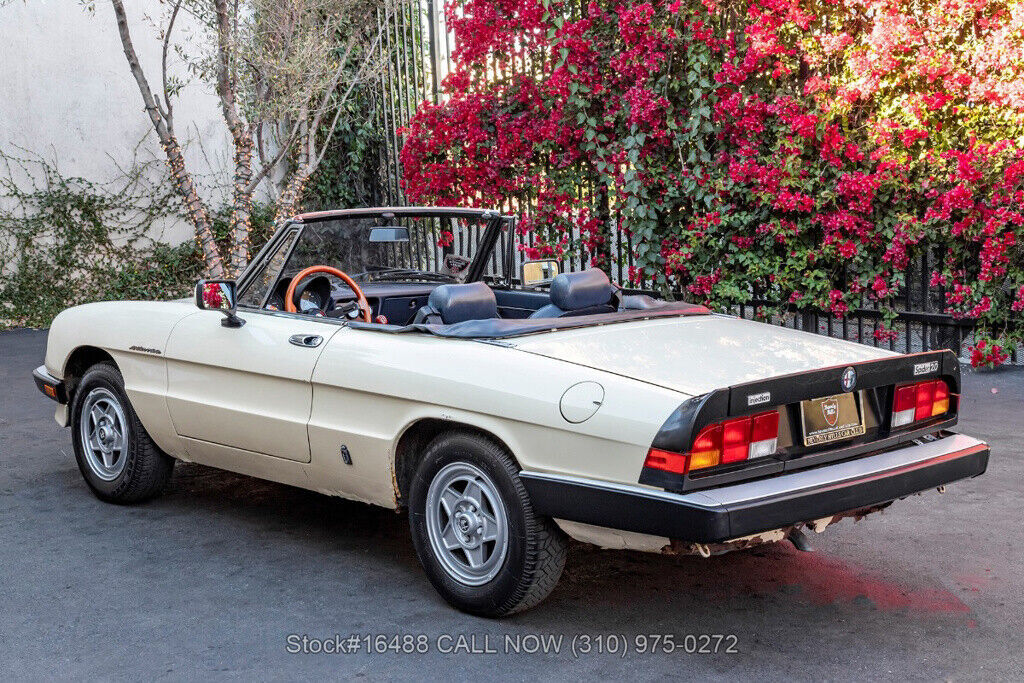 1983 Alfa Romeo Spider Convertible - photo 7