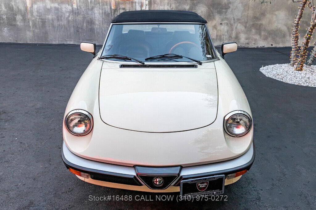 1983 Alfa Romeo Spider Convertible - photo 9
