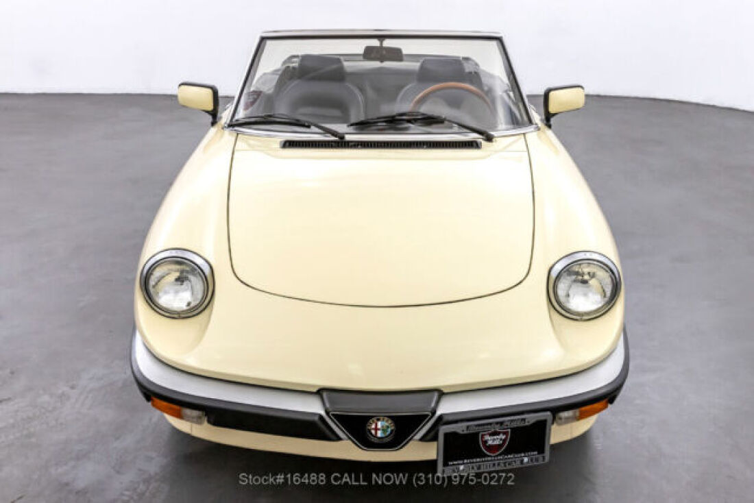 1983 Alfa Romeo Spider Convertible - photo 3