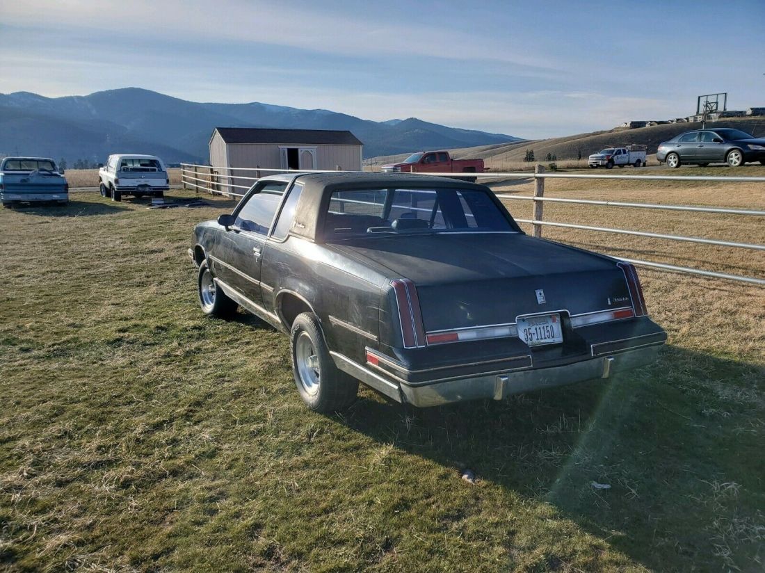 1983 Oldsmobile Cutlass brougham - photo 13