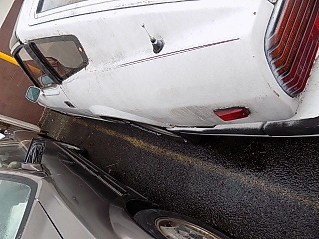 1983 Datsun Z-Series - photo 8
