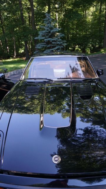 1983 Datsun Z-Series - photo 3