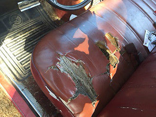 1983 Dodge Other Pickups - photo 7