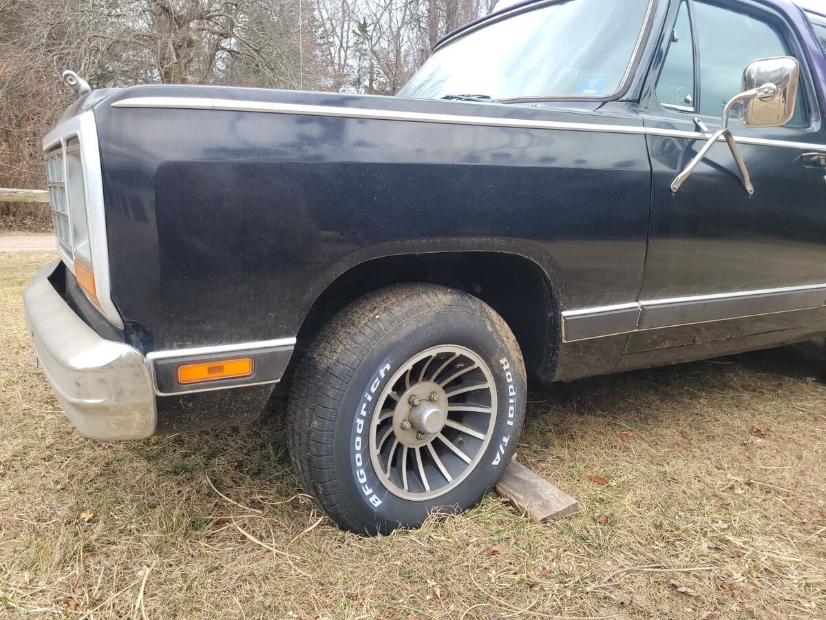 1983 Dodge Ramcharger - photo 10
