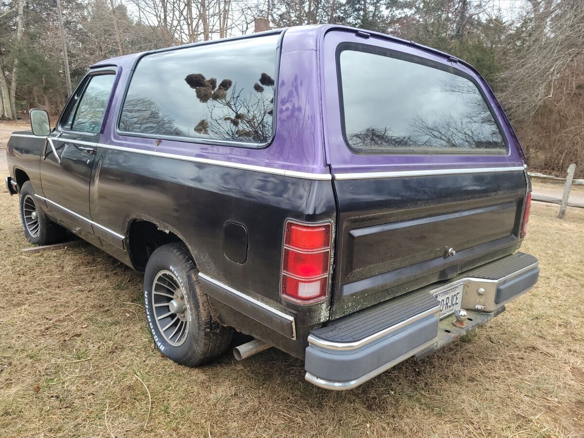 1983 Dodge Ramcharger - photo 2