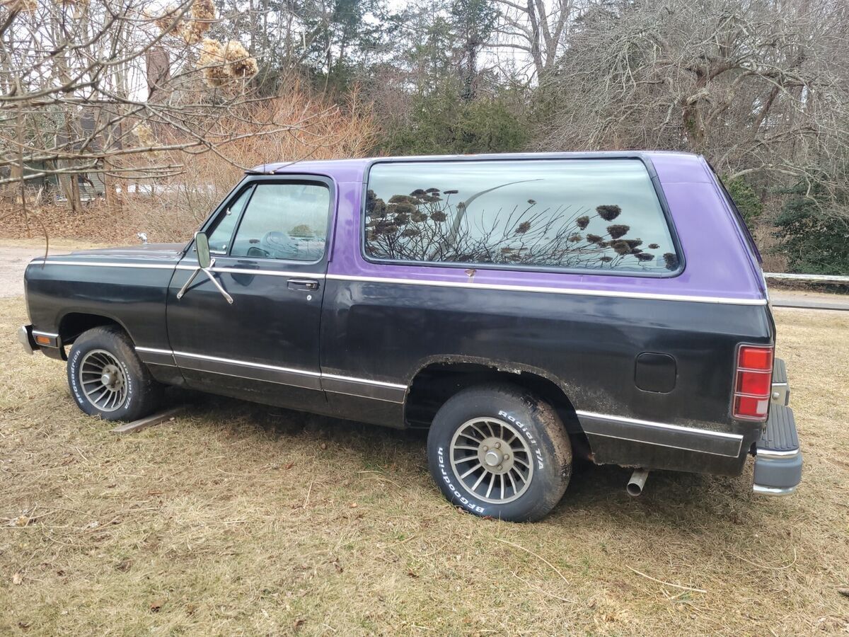1983 Dodge Ramcharger - photo 3