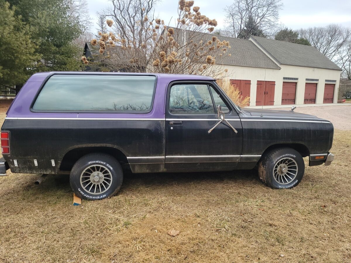 1983 Dodge Ramcharger - photo 8