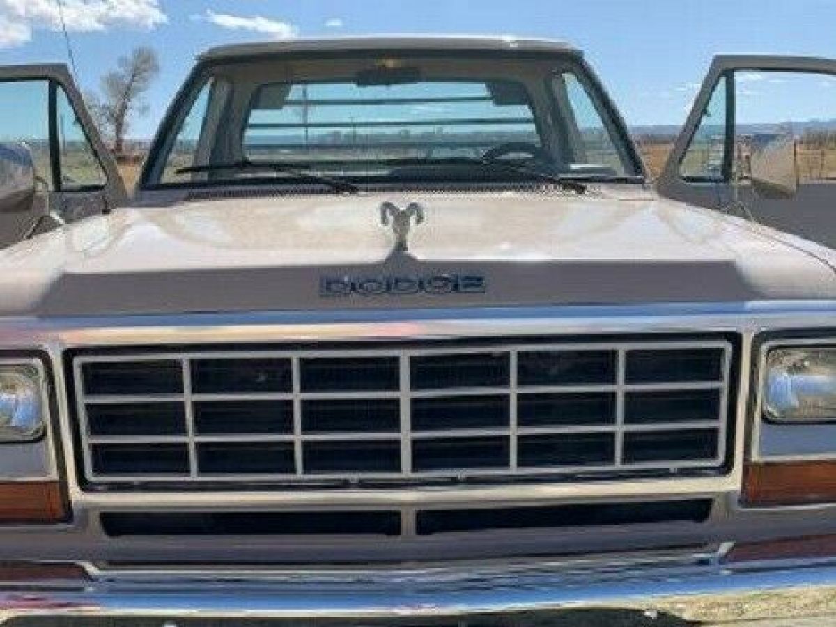 1983 Dodge Other Pickups - photo 10