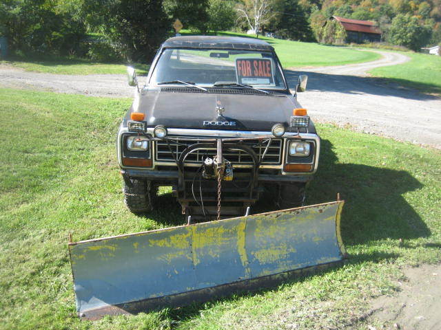1983 Dodge Other Pickups - photo 2