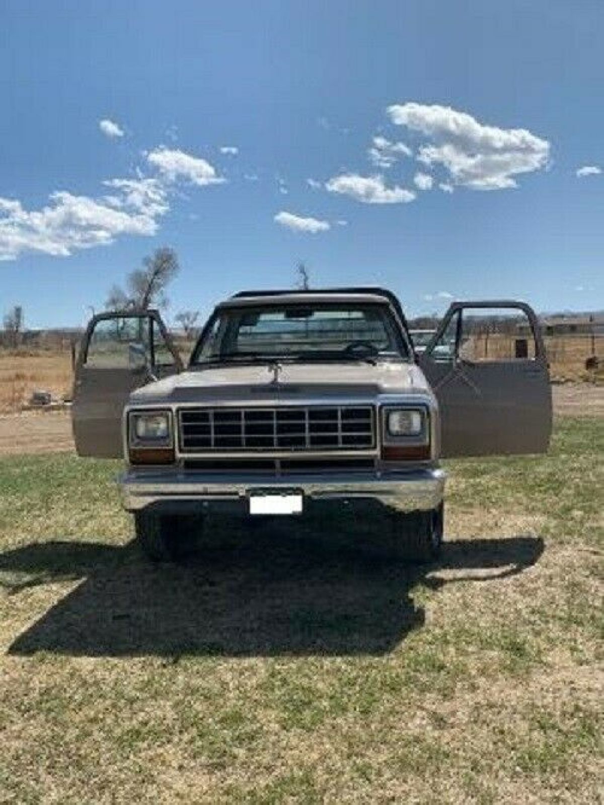 1983 Dodge Other Pickups - photo 9