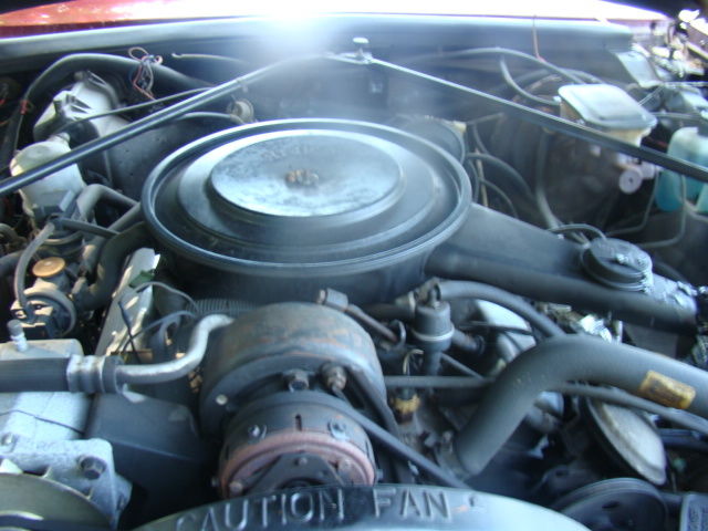 1983 Cadillac Eldorado - photo 8
